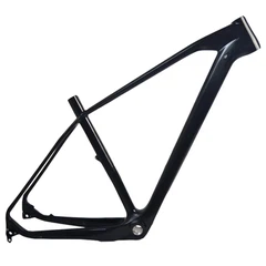Carbon MTB Frame