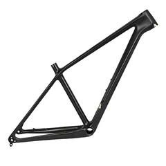 Carbon Fiber BMX Frame