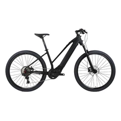 Carbon Fiber E-Bike
