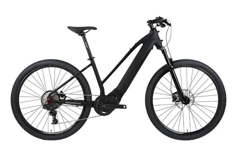 Carbon Fiber Electric Bike Carbon Fiber Electric Bike